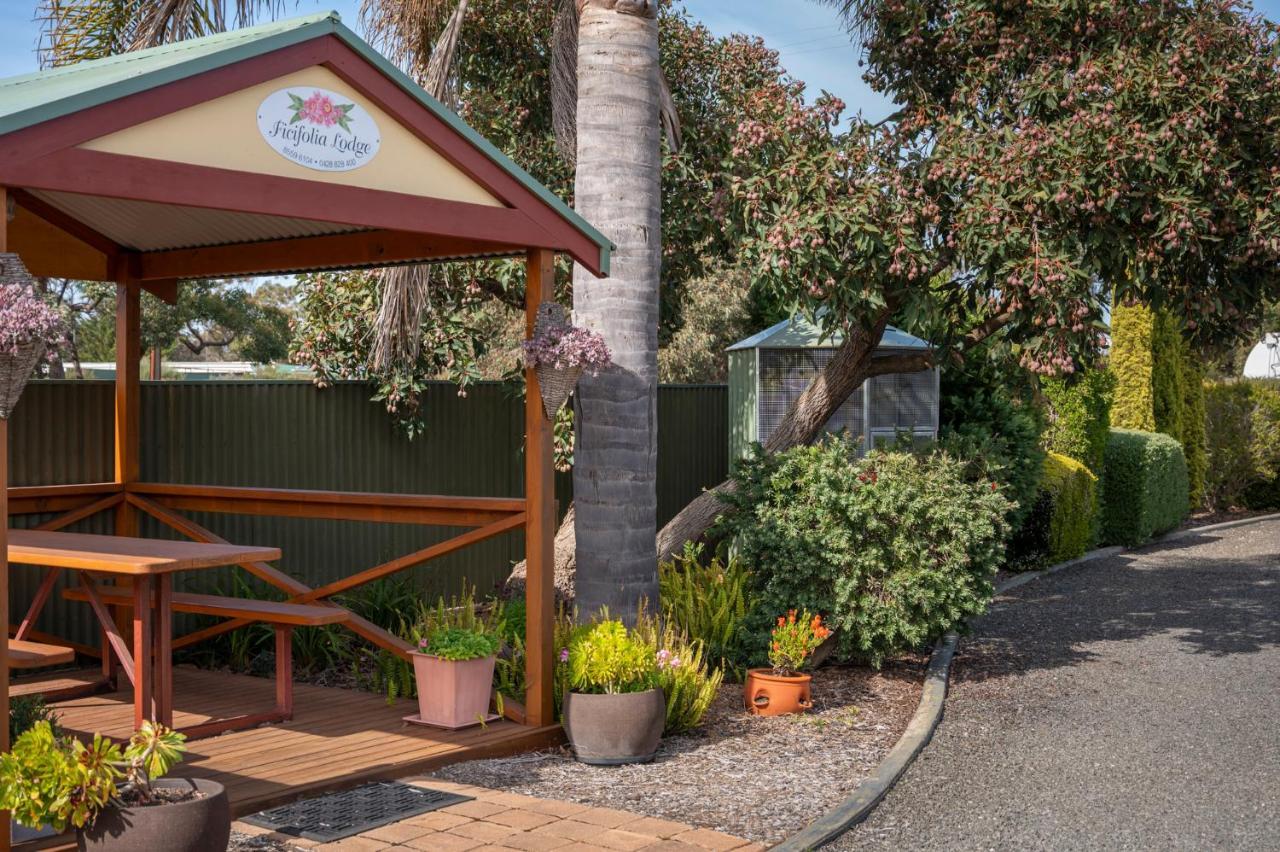 Ficifolia Lodge Parndana Exterior photo